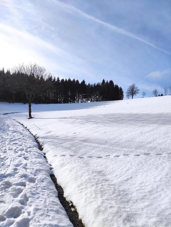 Zentrale Und Gemuetliche Ferienwohnung In Winterberg Nah An Der Natur Exterior photo